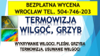 Ogłoszenie - Wykrycie grzyba w mieszkaniu, tel. 504-746-203, Wrocław, lokalizacja pleśni i wilgoci.   Jak pozbyć się grzyba ? - Wrocław