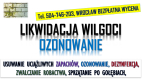 Ogłoszenie - Ozonowanie Wrocław, cennik, tel. 504-746-203. Usuwanie wirusów grzybów, pleśni  Odświeżania i likwidacja zapachów. - Wrocław