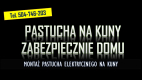 Ogłoszenie - Założenie pastucha na kuny tel.  504-746-203. Zamontowanie na domu elektrycznego zabezpieczenia.  Ile kosztuje montaż ? - Wrocław