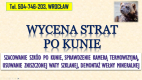 Ogłoszenie - Szacowanie szkód po kunie, tel. 504-746-203, Wrocław. Wycena szkody, wełna mineralna - Wrocław