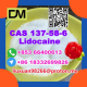 Ogłoszenie - Manufacturer Supply Raw Material CAS 137-58-6 Lidocaine - Żagań - 100,00 zł