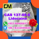 Ogłoszenie - Manufacturer Supply Raw Material CAS 137-58-6 Lidocaine - Kęty - 100,00 zł