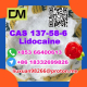 Ogłoszenie - Manufacturer Supply Raw Material CAS 137-58-6 Lidocaine - Kęty - 100,00 zł