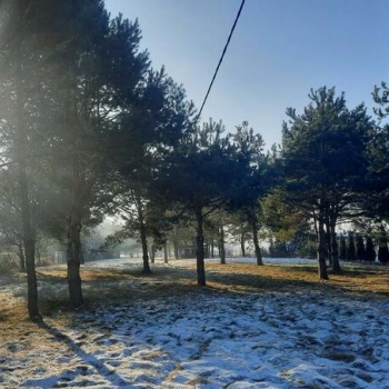 Ogłoszenie - Działka 7000 m2 w Karsznicach k/Zduńskiej Woli - 370 000,00 zł