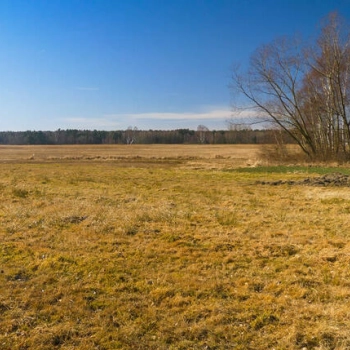 Ogłoszenie - Domy czy farma fotowoltaiczna? Kępie, gmina Kozłów - 499 000,00 zł