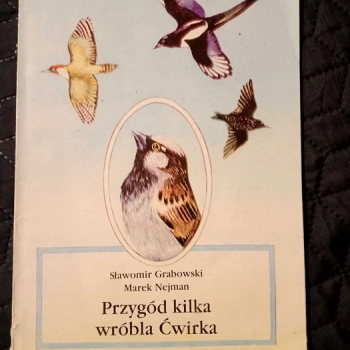 Ogłoszenie - Przygód kilka wróbla Ćwirka. Sławomir Grabowski. Marek Nejman - 70,00 zł