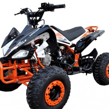 Ogłoszenie - quad 125cc KXD carbon sport koła 8 3biegi wsteczny pilot - 4 399,00 zł