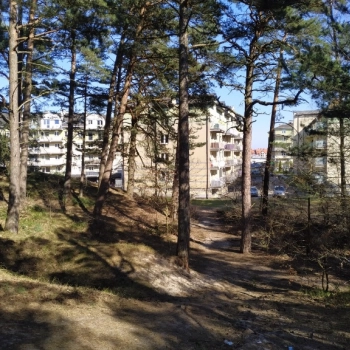 Ogłoszenie - Apartament Słoneczna fala Ustka 6 osób - 120,00 zł