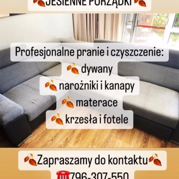 Ogłoszenie - Oczyszczanie działek-mulczer-wycinka drzew-niwelacja-glebogryzarka