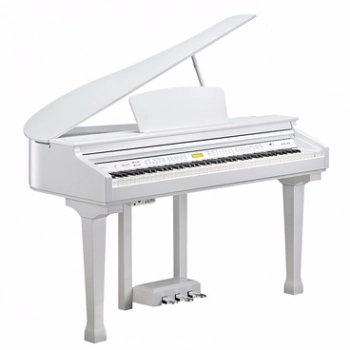 Ogłoszenie - KURZWEIL KAG 100 (WH) - 10 817,00 zł