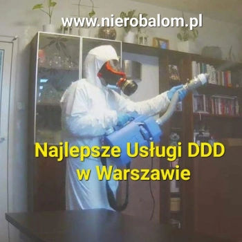 Ogłoszenie - Usługi DDD: dezynsekcja i dezynfekcja Warszawa - Żoliborz - 170,00 zł