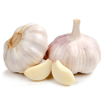 Ogłoszenie - fresh garlic - Zagranica - 8,00 zł