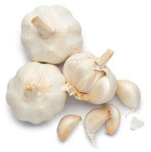 Ogłoszenie - fresh garlic - Islandia - 8,00 zł