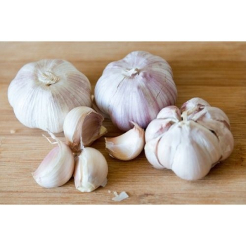 Ogłoszenie - fresh garlic - Zagranica - 8,00 zł