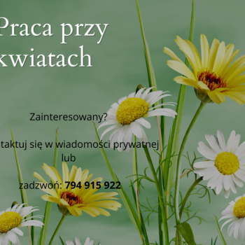 Ogłoszenie - Pracownik: w szklarni, sortowni, na produkcja - Holandia - 60,00 zł