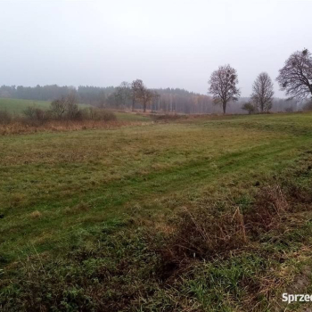 Ogłoszenie - Działka rolno-budowlana na sprzedaż 1 ha elganowo, pasym - Szczytno - 15 000,00 zł