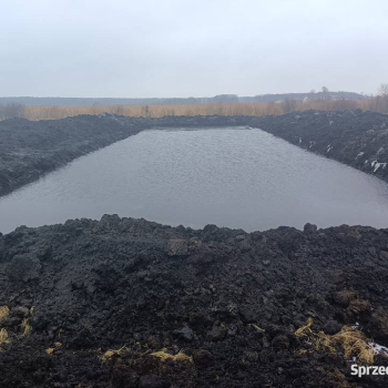 Ogłoszenie - Kopanie USŁUGI i czyszczenie stawów koparką linową km 251 - Szczytno - 3,00 zł