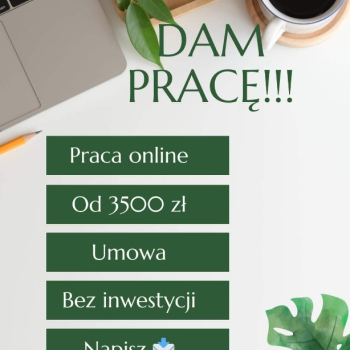 Ogłoszenie - Praca zdalna 3 godziny dziennie - Wielkopolskie - 5 500,00 zł