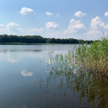 Ogłoszenie - Działki nad jeziorem - Zachodniopomorskie - 6 000 000,00 zł