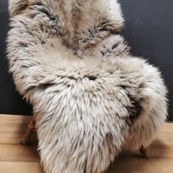 Ogłoszenie - LONG HAIRED DUTCH SHEEPSKINS XXL! - Wielka Brytania