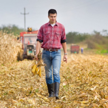 Ogłoszenie - Dlaczego Agrogotówka to najlepsze wsparcie finansowe dla rolników ? - Pomorskie - 1,00 zł