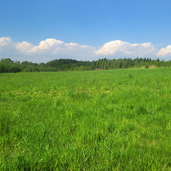 Ogłoszenie - Działka budowlana w centrum Dominikowic (woj.małopolskie) - Gorlice - 299 000,00 zł