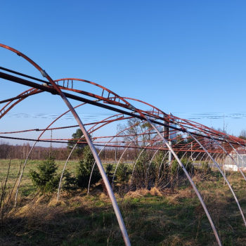 Ogłoszenie - Tunel foliowy z nową folią - Śląskie - 6 999,00 zł