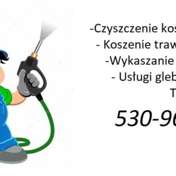 Ogłoszenie - Czyszczenie kostki brukowej/elewacji/dachów oraz usługi koszenia trawnikow - Kujawsko-pomorskie - 10,00 zł