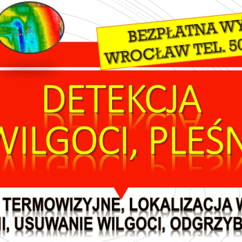 Ogłoszenie - Wykrycie pleśni, tel. 504-746-203. Wrocław, wykrywanie, pleśń, lokalizacja wycieku, wilgoci. Osuszanie mieszkania. - Wrocław