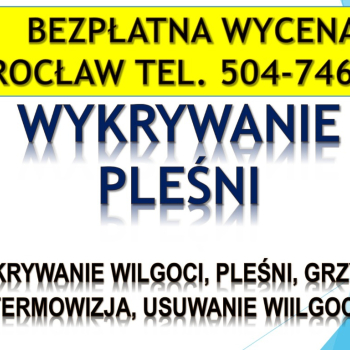 Ogłoszenie - Wykrycie grzyba w mieszkaniu, tel. 504-746-203, Wrocław, lokalizacja pleśni i wilgoci.   Jak pozbyć się grzyba ? - Wrocław