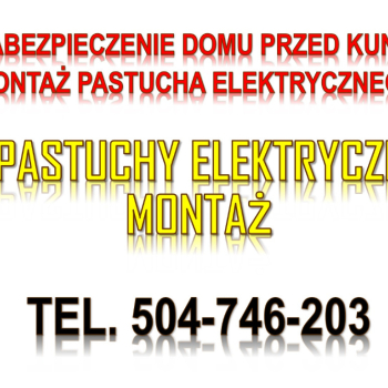 Ogłoszenie - Ile kosztuje pastuch elektryczny na kuny? Tel. 504-746-203, montaż. Zabezpieczenie domu przed kuną.