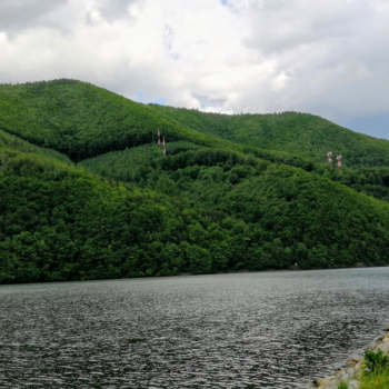 Ogłoszenie - Pokkoje gościnne - Śląskie - 25,00 zł