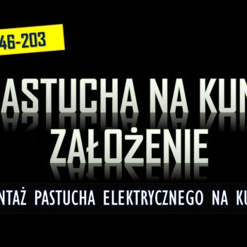 Ogłoszenie - Założenie pastucha na kuny tel.  504-746-203. Zamontowanie na domu elektrycznego zabezpieczenia.  Ile kosztuje montaż ? - Wrocław