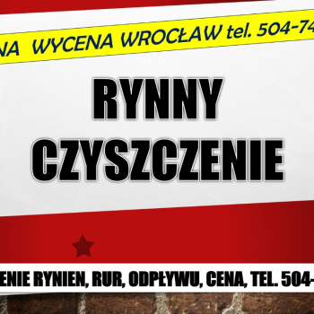 Ogłoszenie - Czyszczenie rynien, cennik, tel. 504-746-203, Wrocław, udrażnianie rynny, usługi - Wrocław - 1,00 zł