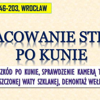 Ogłoszenie - Szacowanie szkód po kunie, tel. 504-746-203, Wrocław. Wycena szkody, wełna mineralna - Wrocław