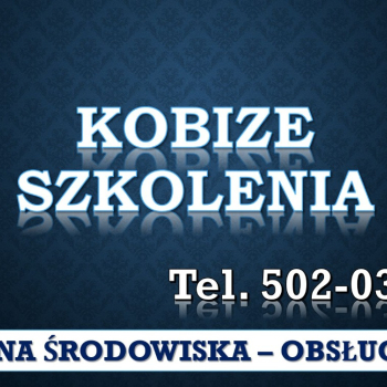 Ogłoszenie - Szkolenie Raport do Kobize, tel. 504-746-203. Ćwiczenia, Warsztaty, cena , sprawozdanie, raport do kobize - Wrocław