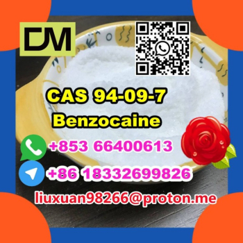 Ogłoszenie - Manufacturer Supply Raw Material CAS 94-09-7 Benzocaine - 100,00 zł