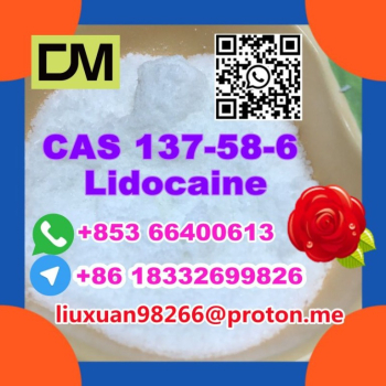 Ogłoszenie - Manufacturer Supply Raw Material CAS 137-58-6 Lidocaine - Lubuskie - 100,00 zł