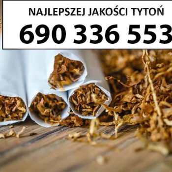 Ogłoszenie - Tytoń na wagę PREMIUM 80 PLN / 1KG - 80,00 zł