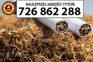 Ogłoszenie - Tytoń na wagę PREMIUM 80 PLN / 1KG - 80,00 zł