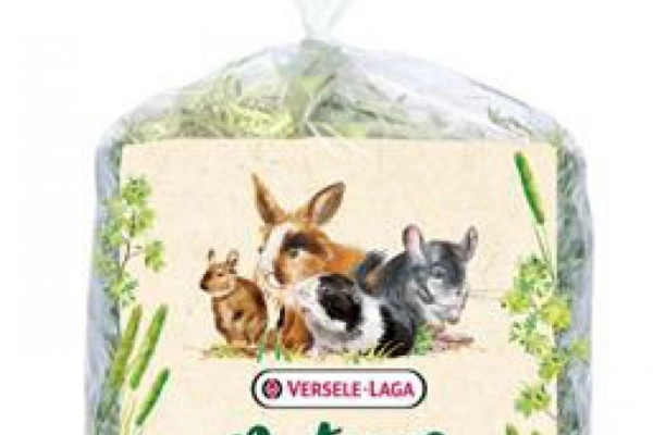 Ogłoszenie - Versele Laga Timothy Hay Carrot & Pumpkin 500g - siano tymotkowe z marchewką i dynią - 24,50 zł