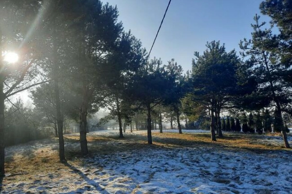 Ogłoszenie - Działka 7000 m2 w Karsznicach k/Zduńskiej Woli - 370 000,00 zł