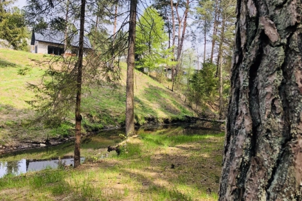 Ogłoszenie - Agroturystyka Świętokrzyskie Zacisze - 400,00 zł