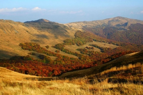 Ogłoszenie - Wycieczka w Bieszczady - 543,00 zł