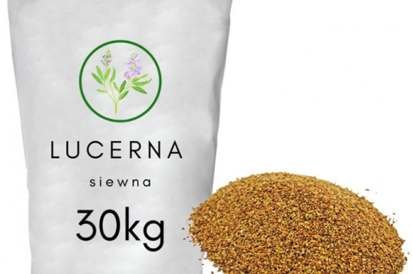 Ogłoszenie - Lucerna siewna - wieloletnia roślina łąkowa 30kg - 899,99 zł