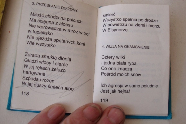 Ogłoszenie - OPINOGÓRA w wierszach; Fajne wierszyki w malutkiej książeczce - 7,00 zł