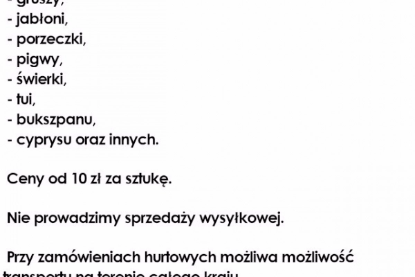 Ogłoszenie - Sadzonki - Drzewka owocowe i krzewy ozdobne - Kujawsko-pomorskie - 10,00 zł