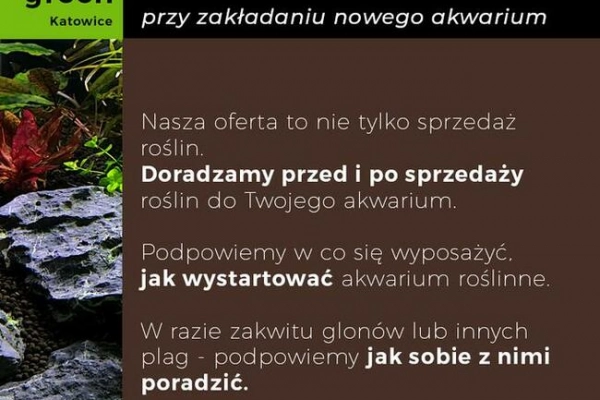 Ogłoszenie - Zestaw roślin do akwarium, 106 sadzonek, 12 gatunków - 84,00 zł