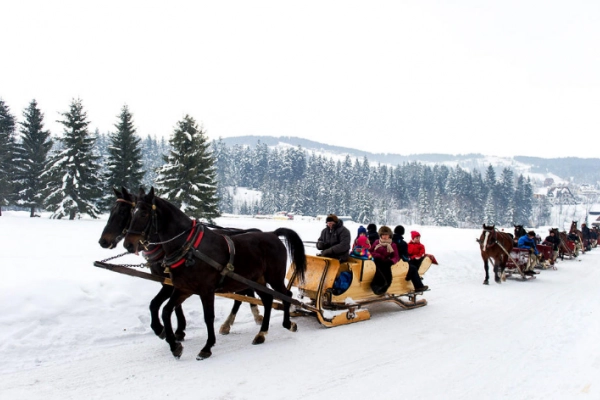 Ogłoszenie - Obozy zimowe 2023 ViaCamp - obozy młodzieżowe Zakopane 2023 - 1 499,00 zł