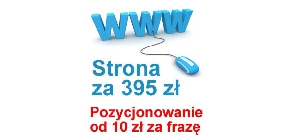 Ogłoszenie - Strona wizytówka Nowy Dwór Mazowiecki tania strona internetowa WWW strony - 395,00 zł